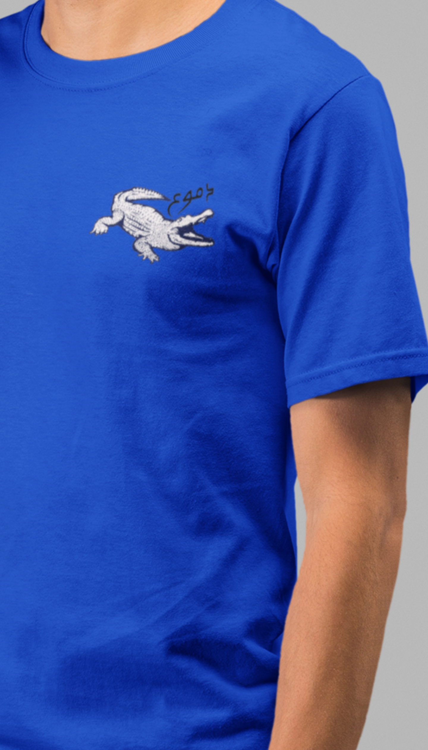 Dmu3 el Timse7 T-Shirt
